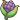 Item Icon for Cornn Berry