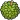 Item Icon for Durin Berry